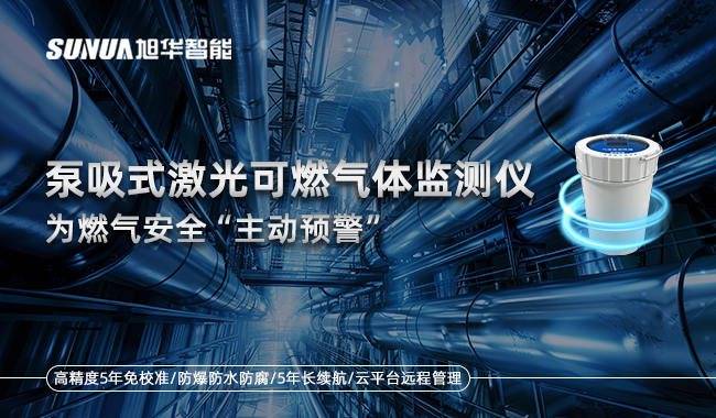 泵吸式激光可燃气体监测仪