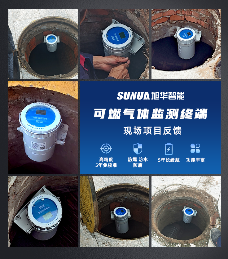 可燃气体监测仪